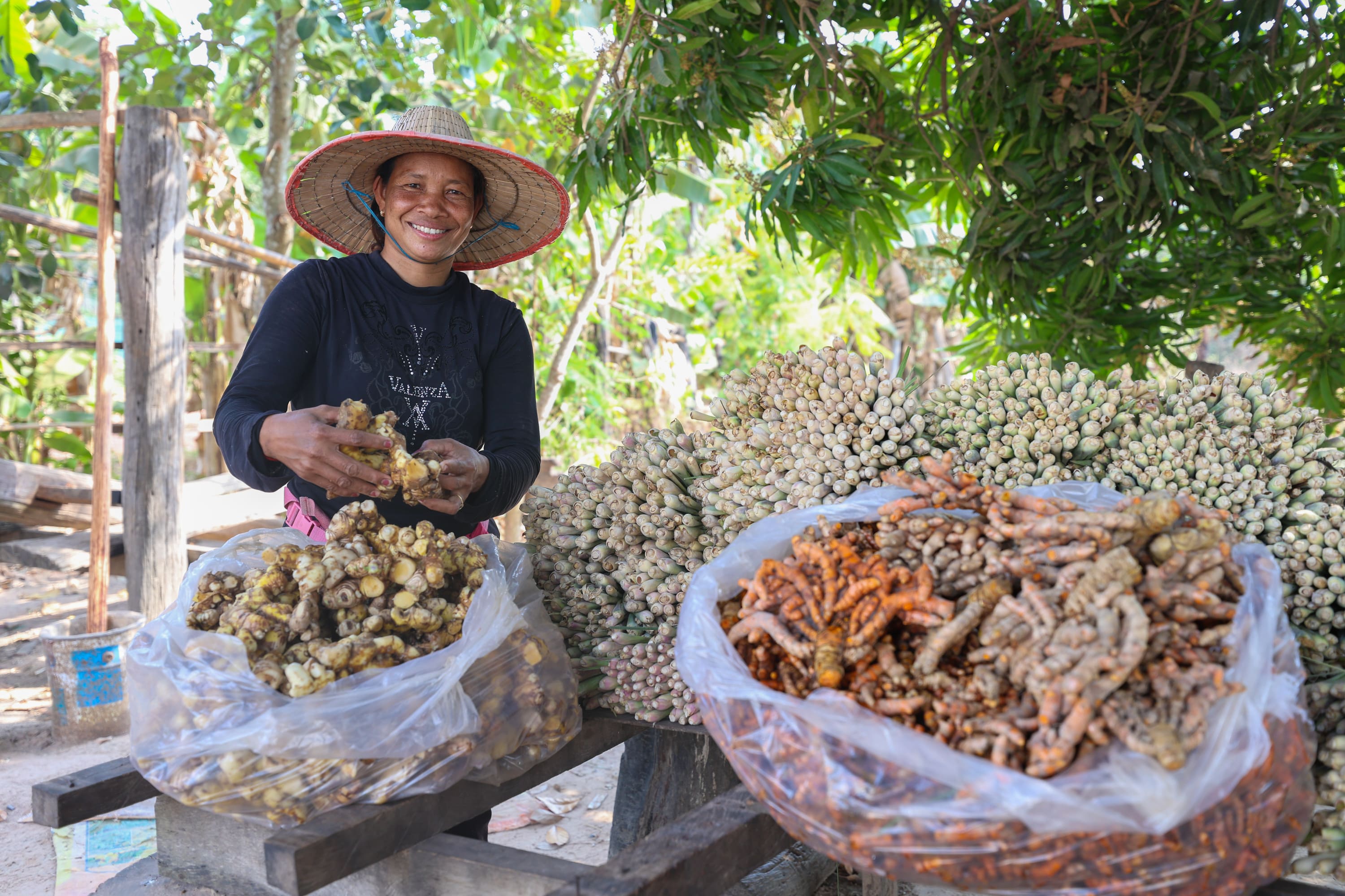 Gender Equality, Disability & Social Inclusion