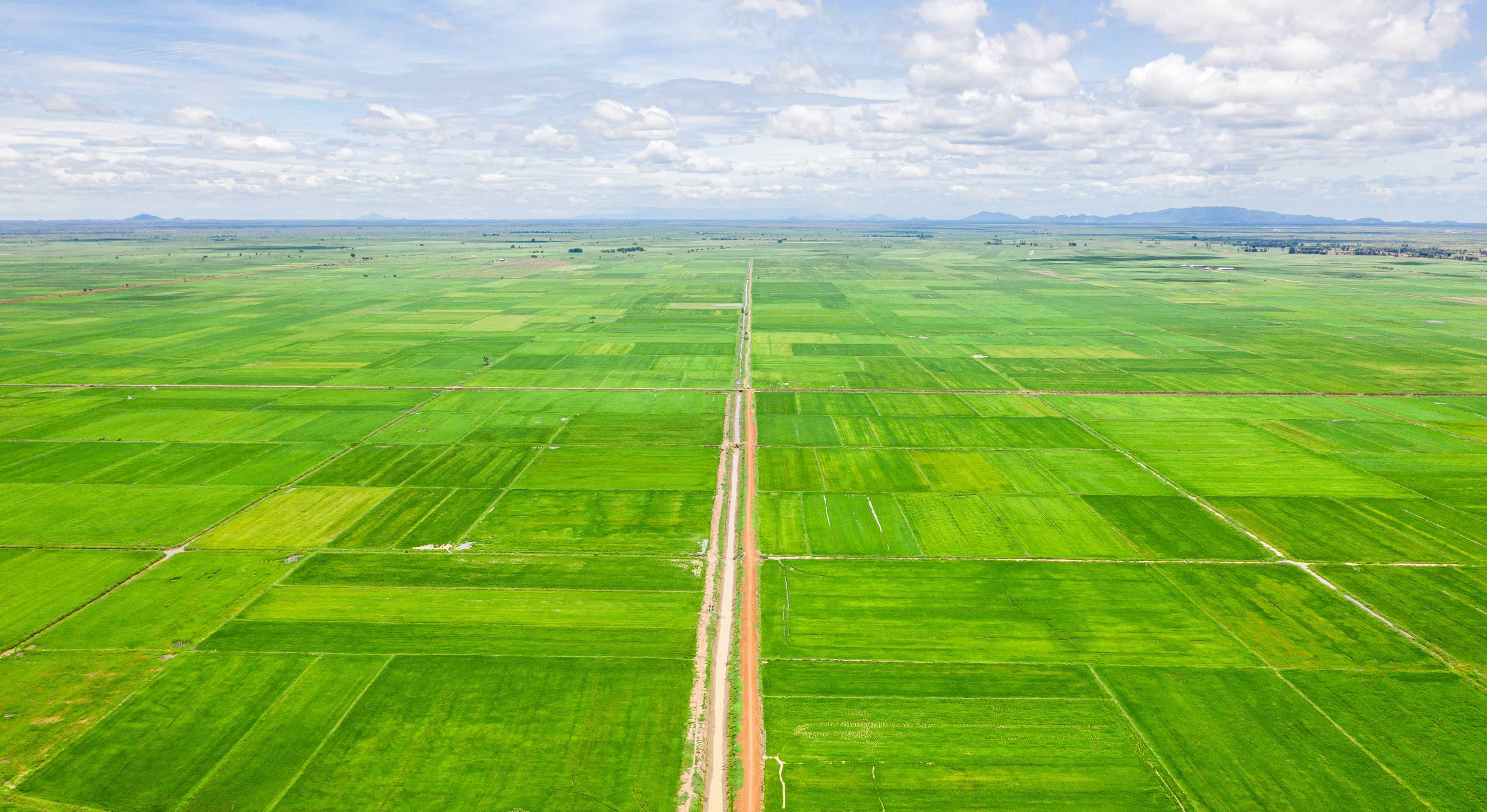 Australia Supports Cambodia’s Burgeoning Rice Industry
